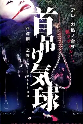 The Hanging Balloons poster