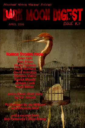 Dark Moon Digest #23 poster