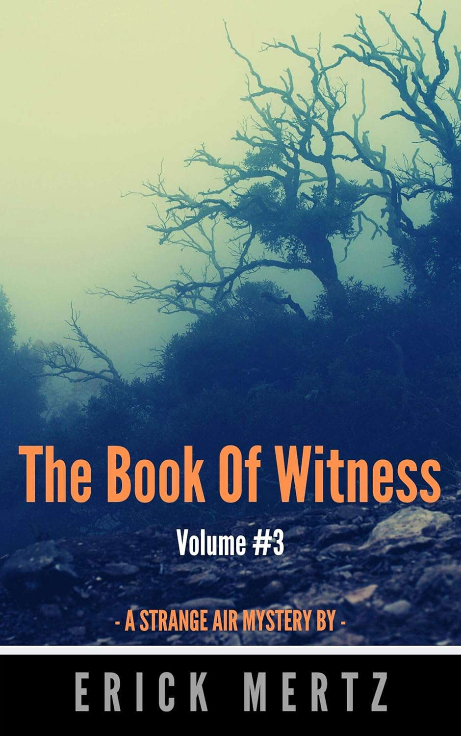 The Book Of Witness, Volume #3: A Paranormal Mystery Short Read poster