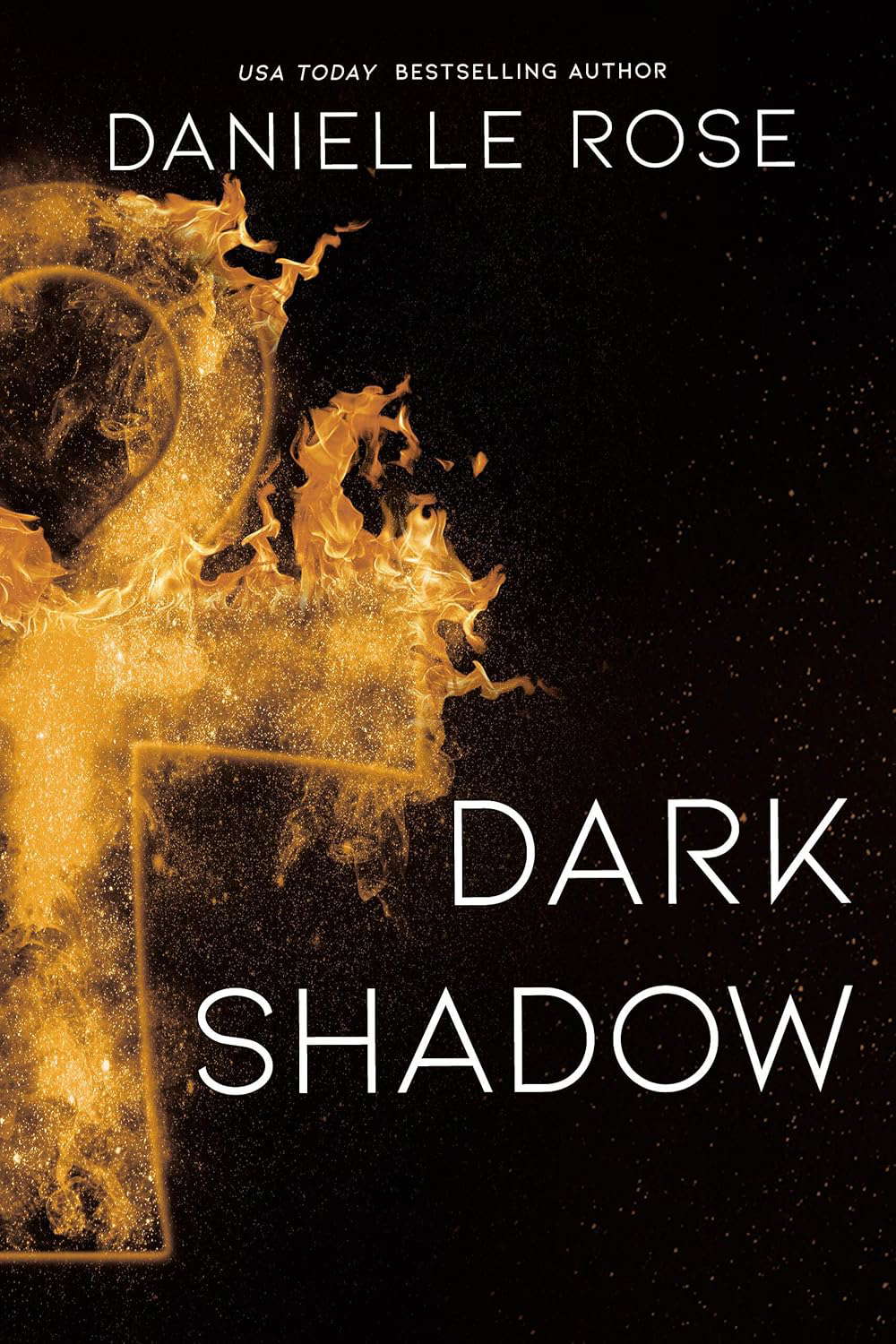 Dark Shadow (Darkhaven Saga Book 6) poster