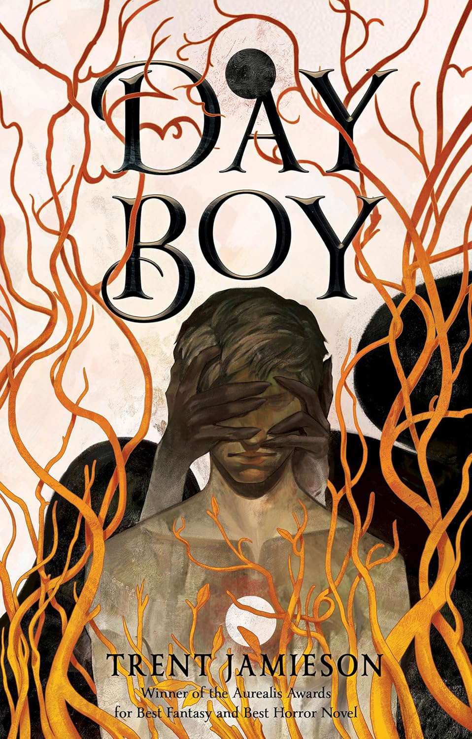 Day Boy poster