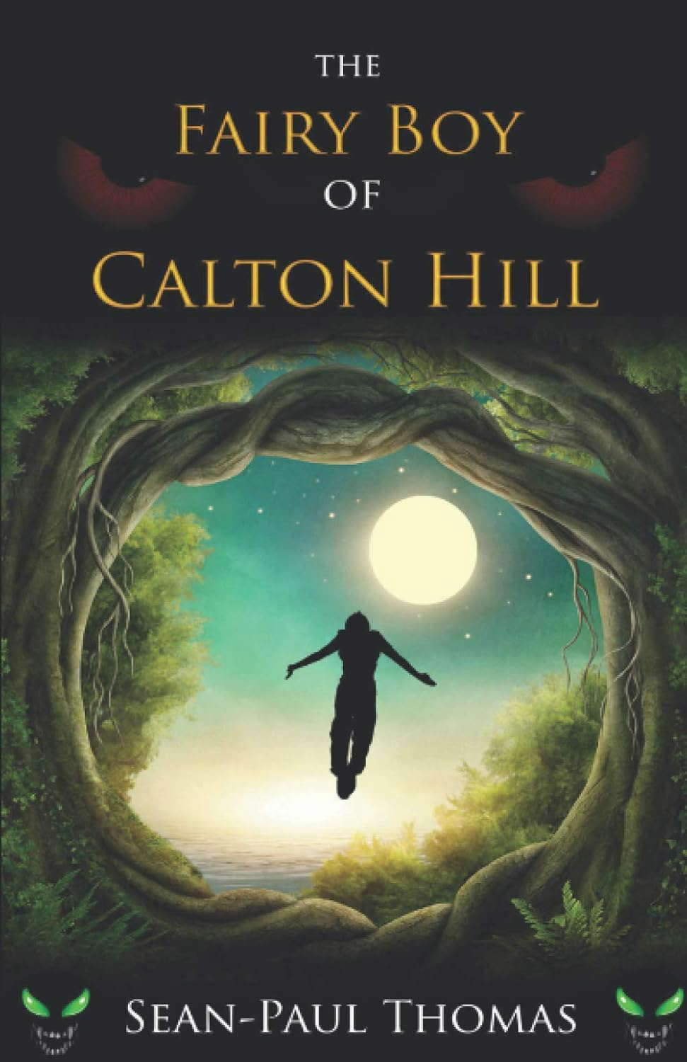 The Fairy Boy of Calton Hill (The Fairy Boy Chronicles) poster