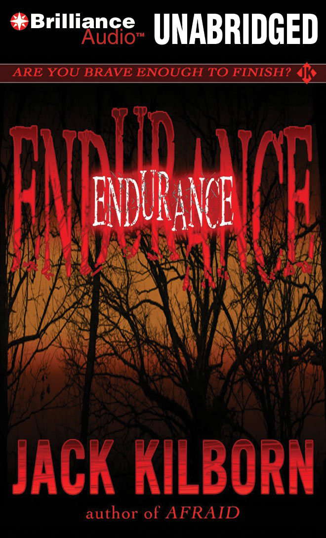 Endurance poster