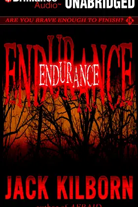 Endurance poster