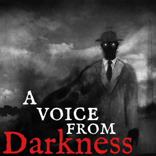 A Voice From Darkness poster