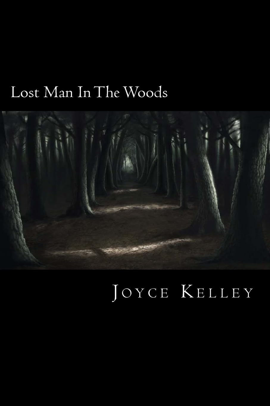 Lost Man In The Woods poster
