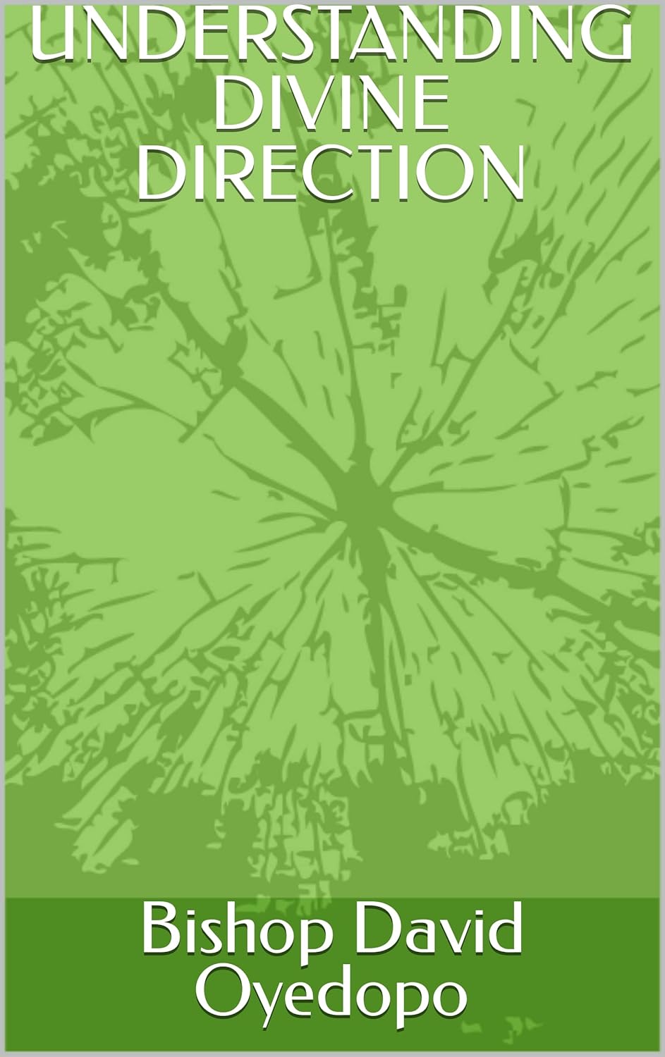 UNDERSTANDING DIVINE DIRECTION poster