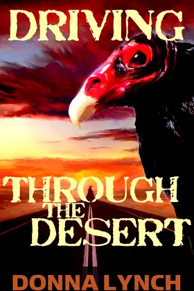 Driving Through the Desert poster