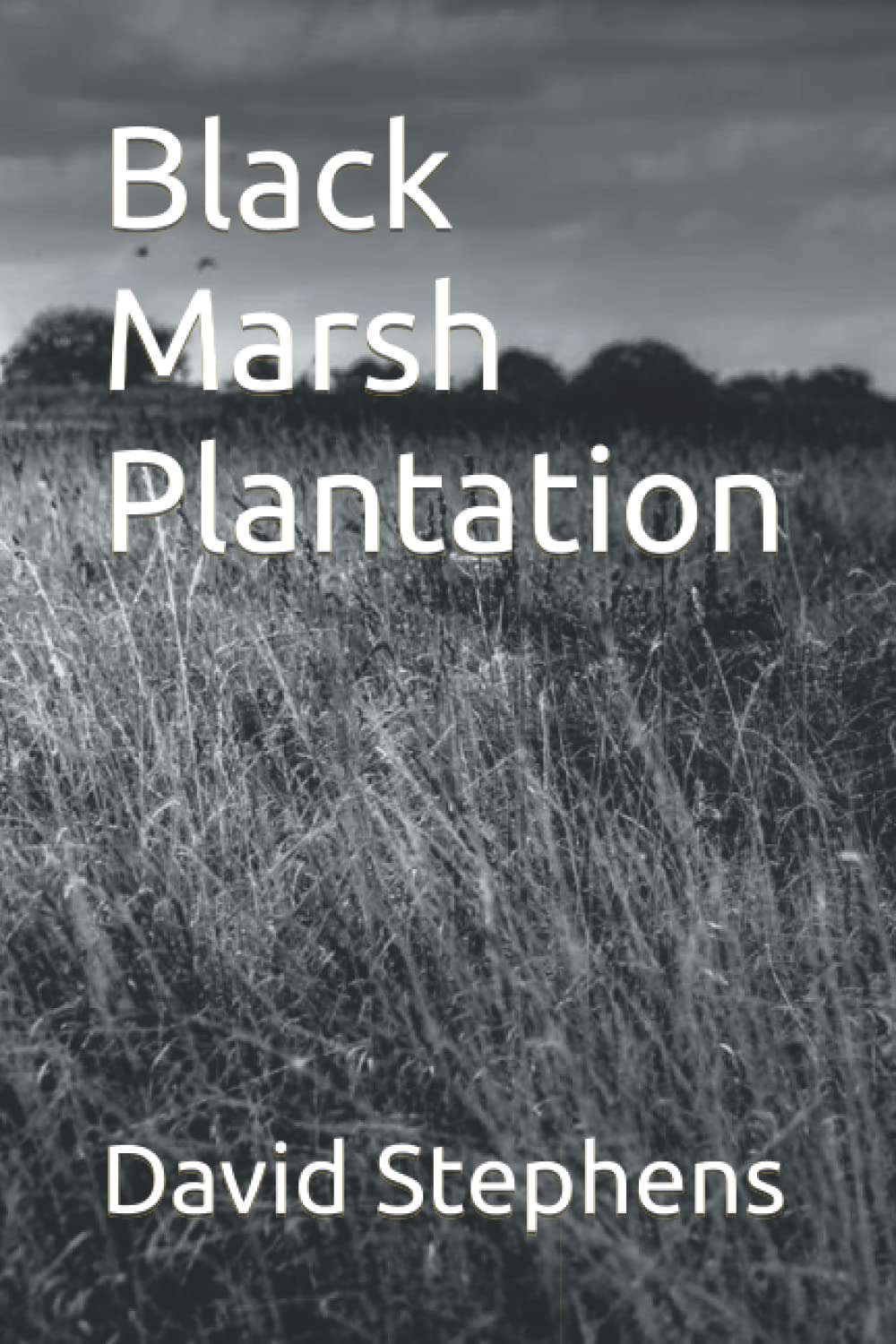 Black Marsh Plantation poster