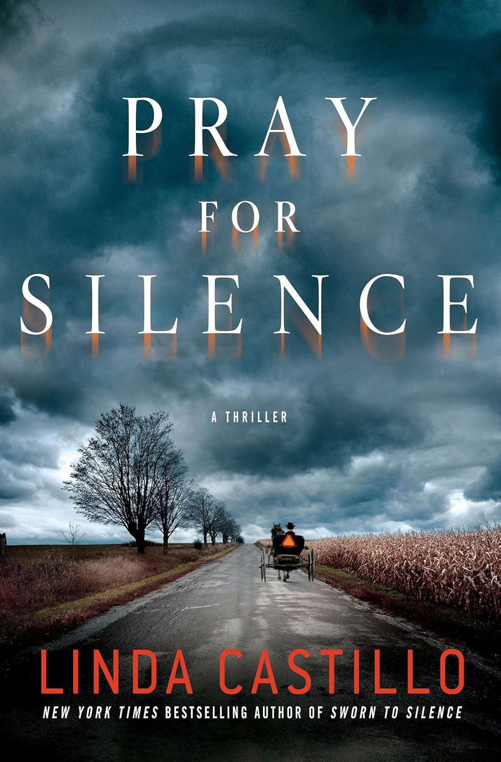 Pray for Silence: A Thriller poster