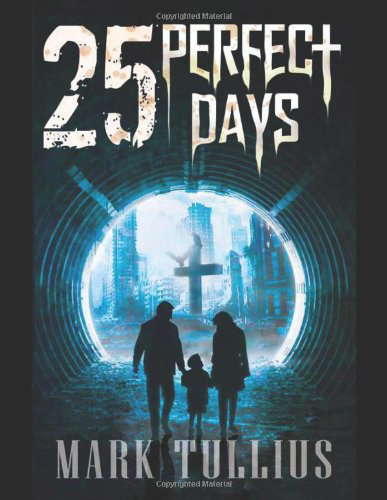 25 Perfect Days poster