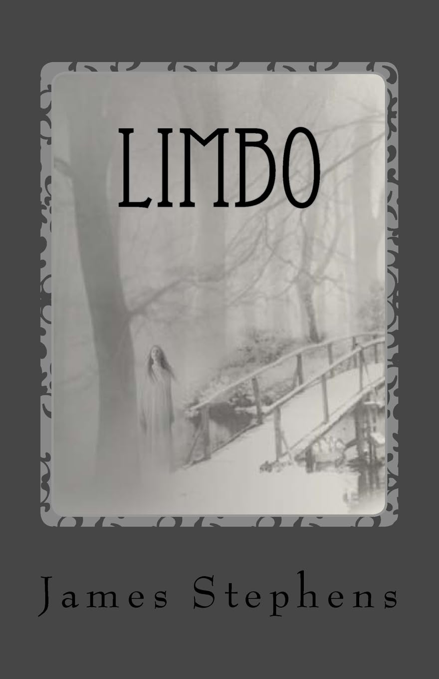 Limbo: book 2 of the Afterlife Chronicles poster