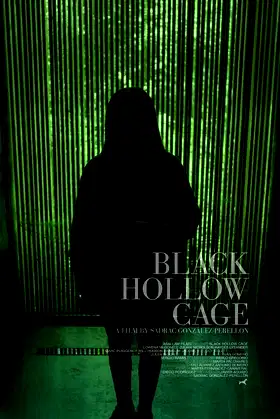 Black Hollow Cage poster