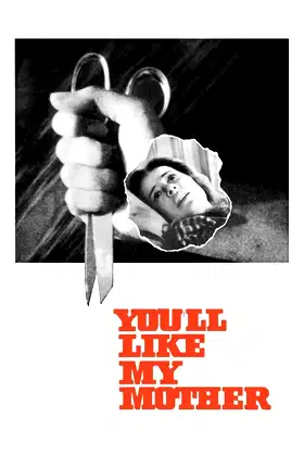 You'll Like My Mother poster