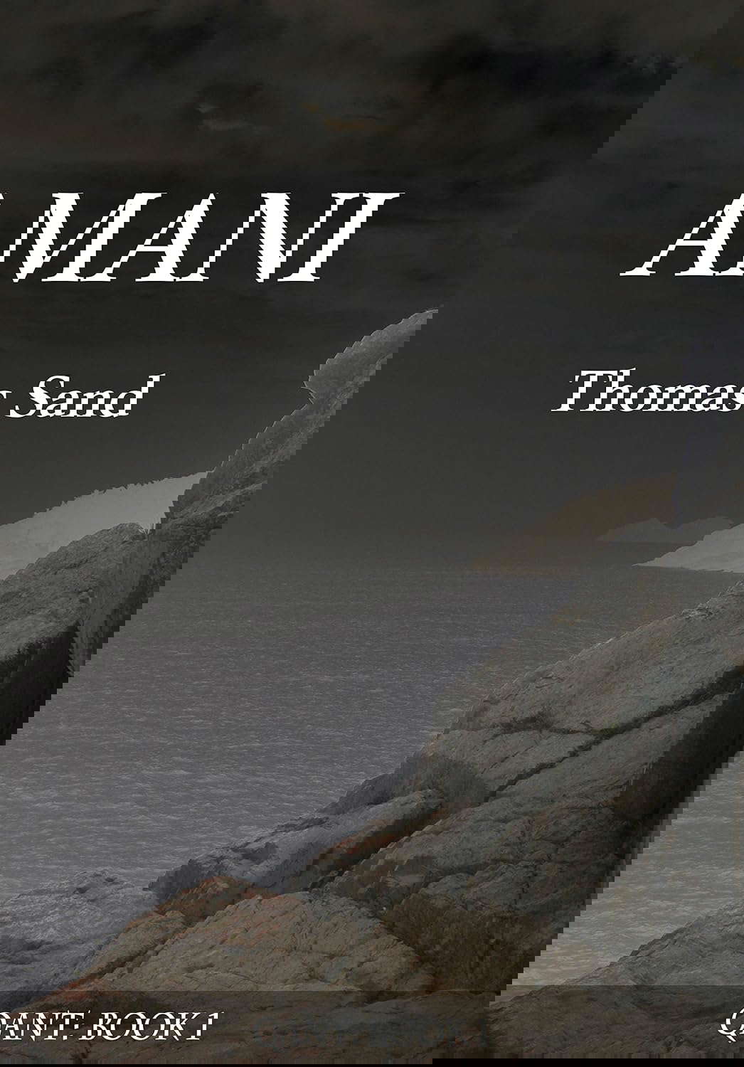 Amani (Qant Book 1) poster