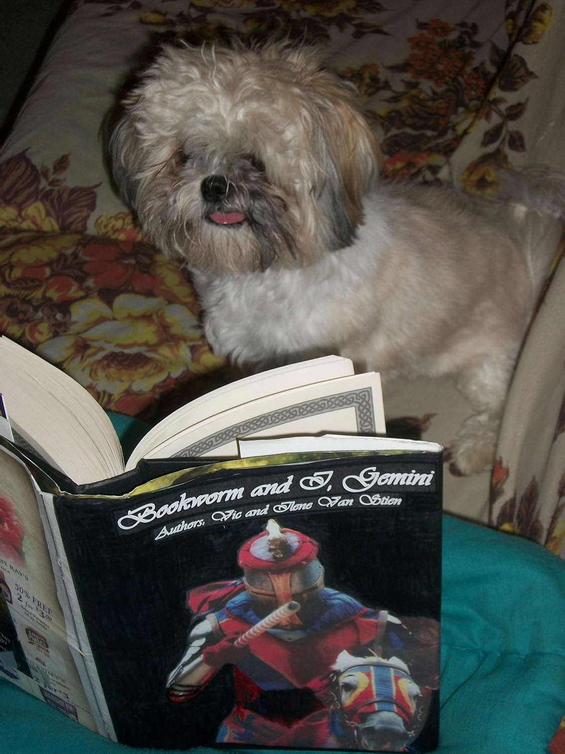 Bookworm and I Gemini, The Unknown Journey poster