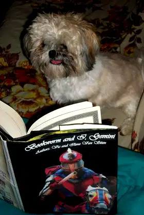 Bookworm and I Gemini, The Unknown Journey poster