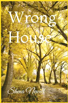Wrong House poster