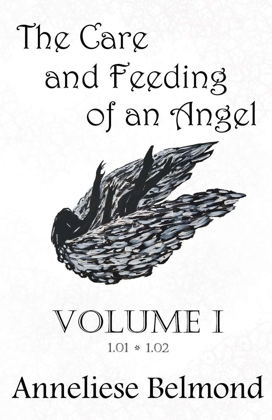 The Care and Feeding of an Angel (Season One: Volume I): Novellas 1-2 poster