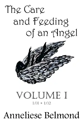 The Care and Feeding of an Angel (Season One: Volume I): Novellas 1-2 poster