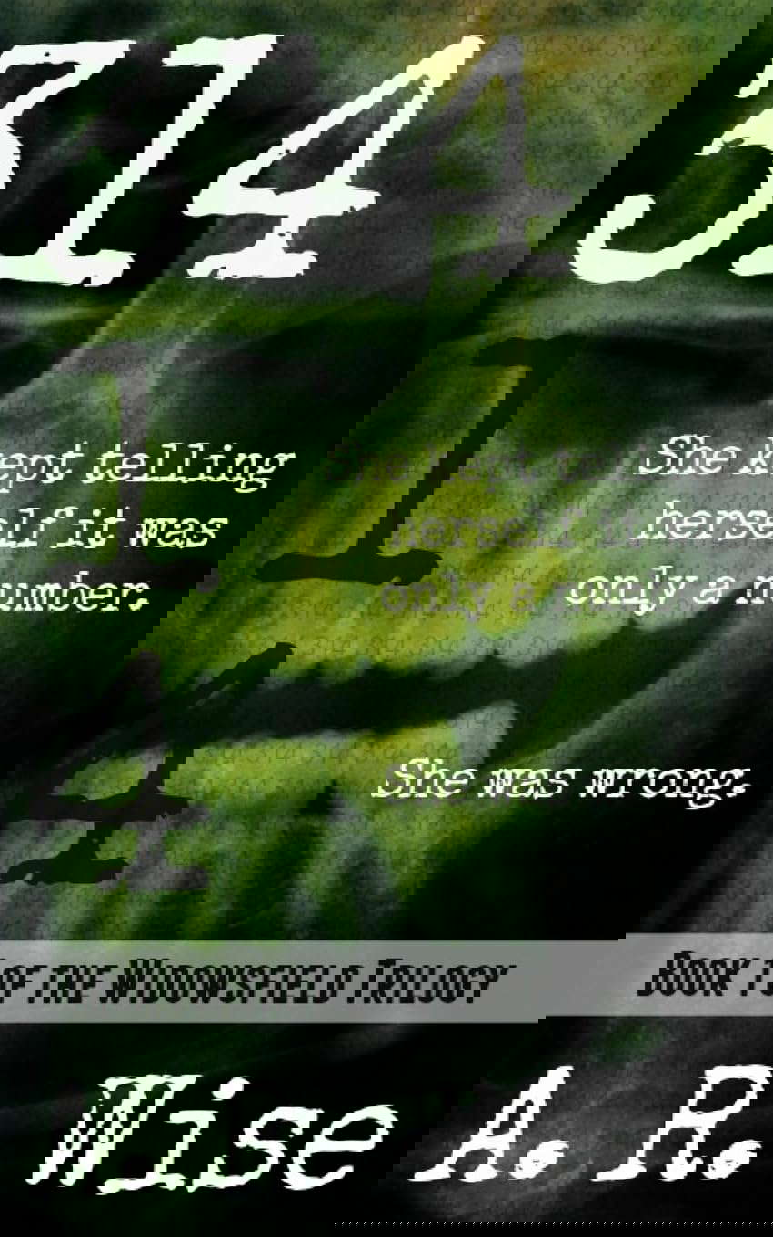 314 (Widowsfield Trilogy) poster