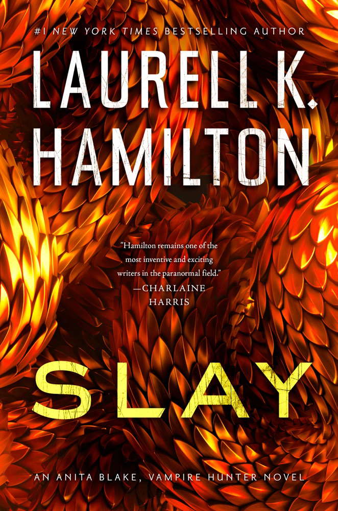 Slay (Anita Blake, Vampire Hunter) poster
