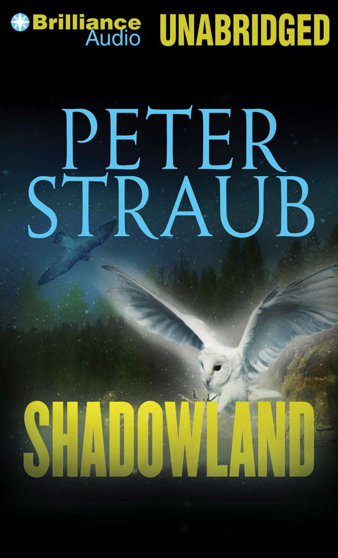 Shadowland poster