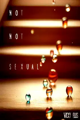 Not Not Sexual poster