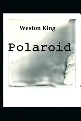 Polaroid poster