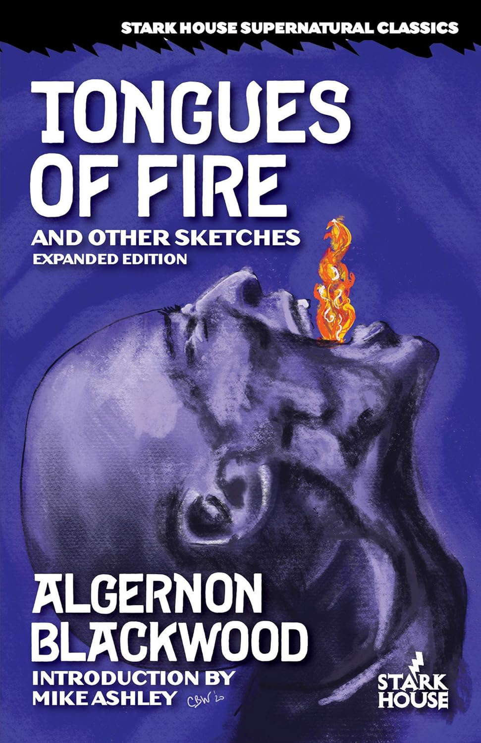 Tongues of Fire and Other Sketches: Expanded Edition poster