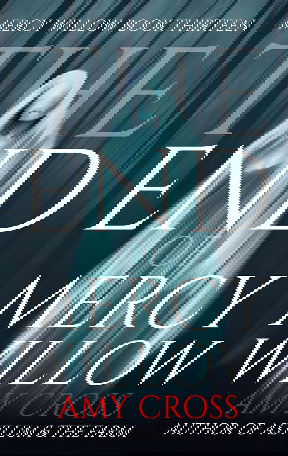 The End of Mercy Willow poster