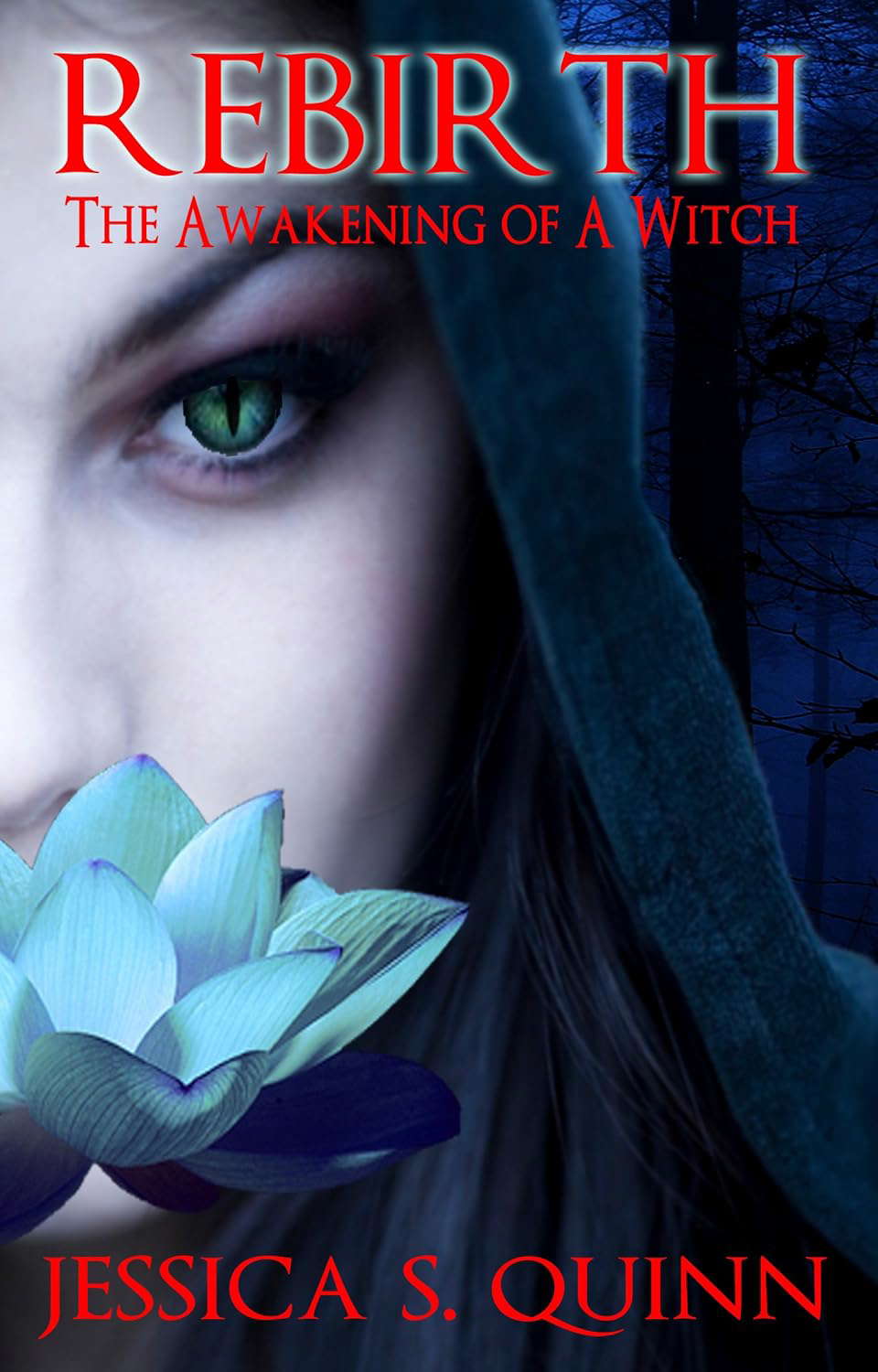 Rebirth: The Awakening Of A Witch (Witches, Warlocks & Wizards Book 1) poster