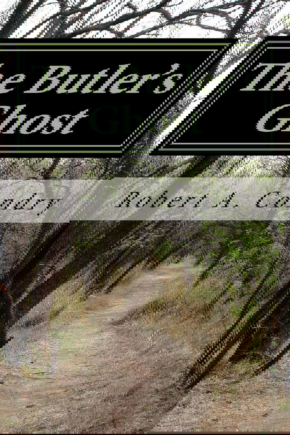 The Butler's Ghost poster