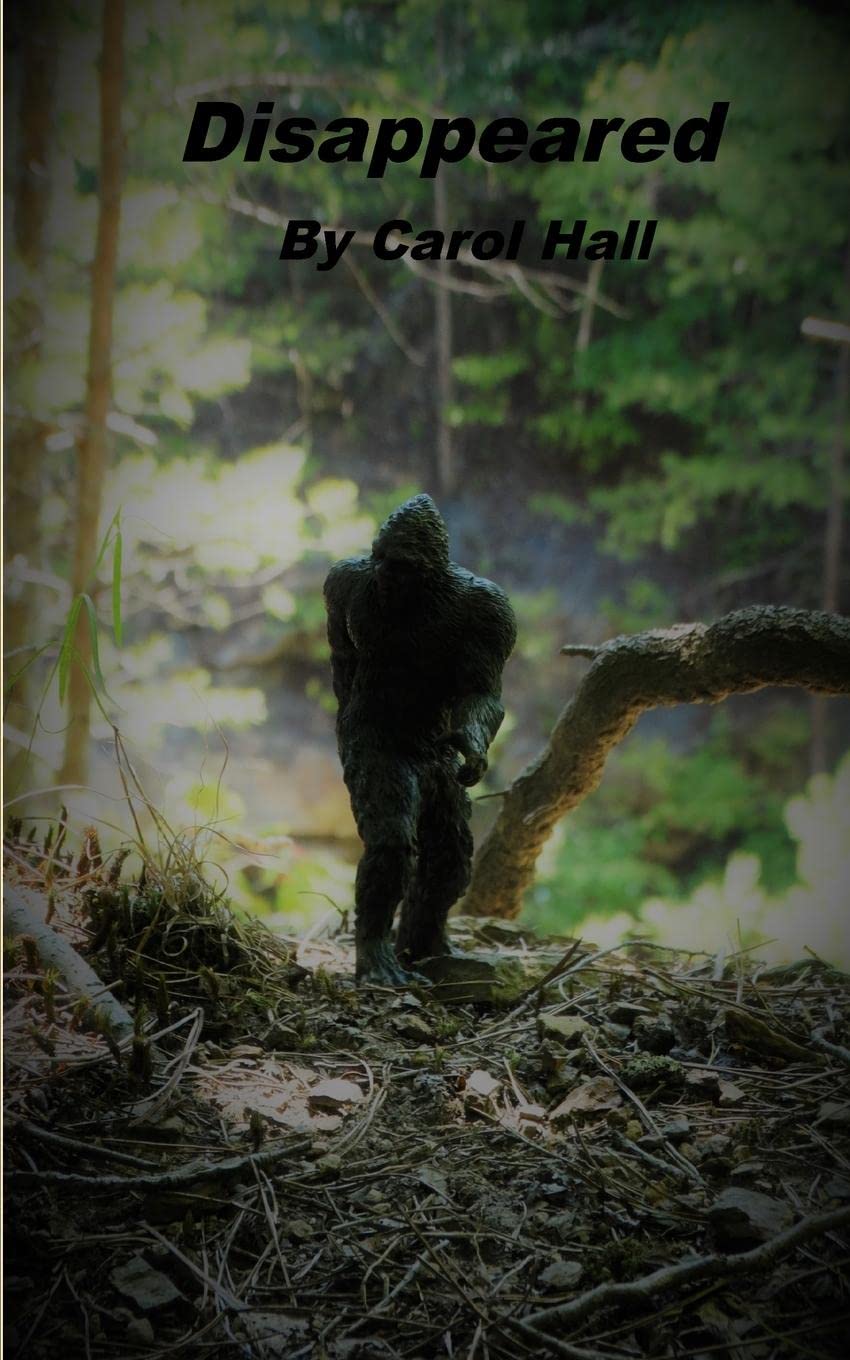 Disappeared poster