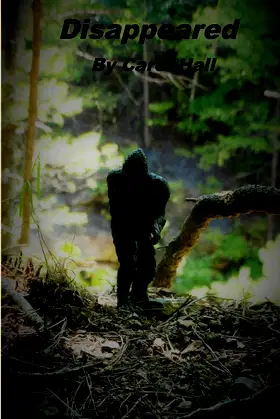 Disappeared poster