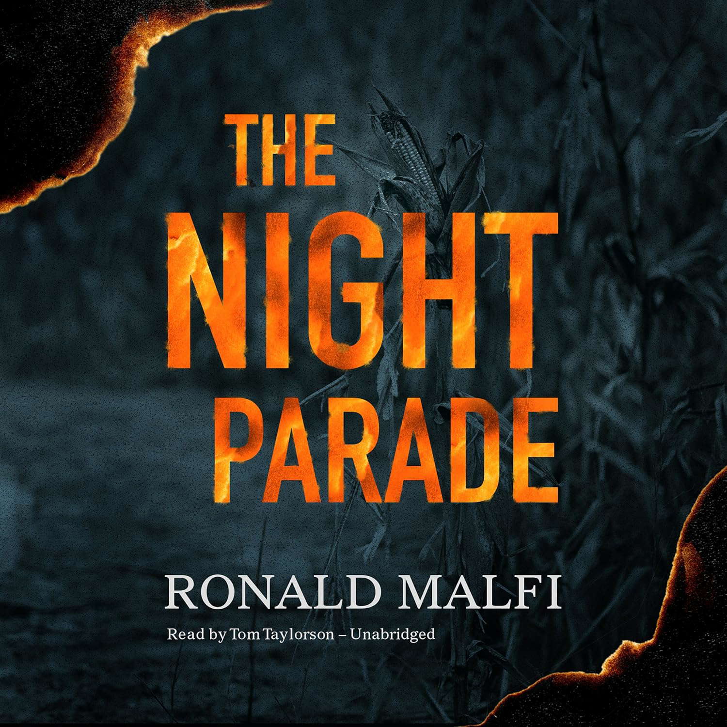 The Night Parade poster