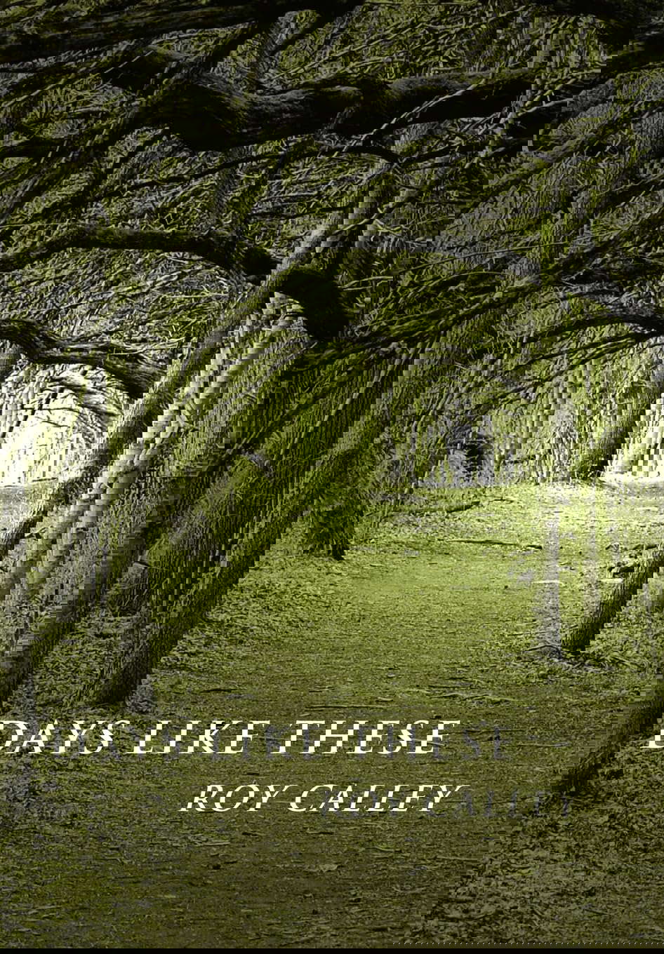 Days Like These poster