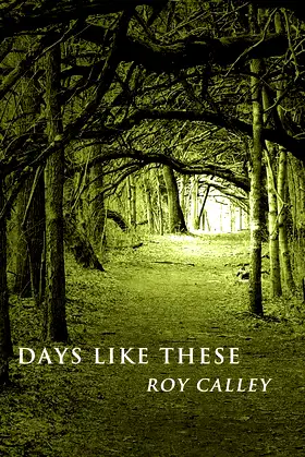 Days Like These poster