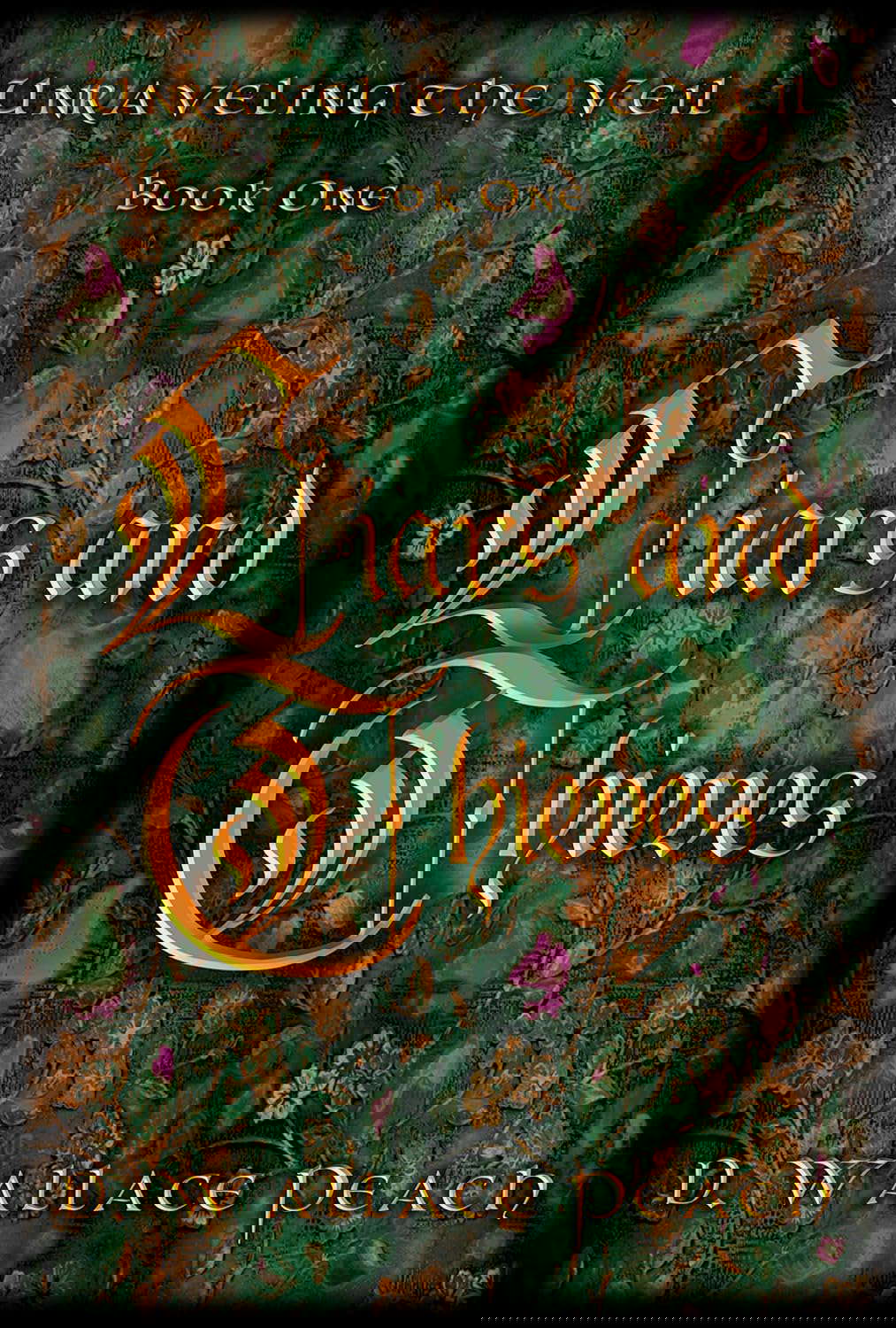 Liars and Thieves (Unraveling the Veil Book 1) poster