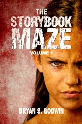 The Storybook Maze (Volume 1) poster