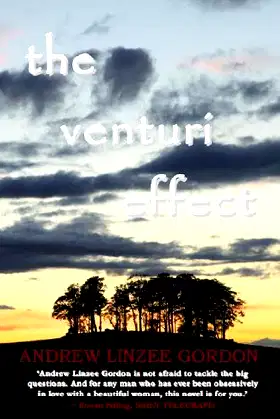 The Venturi Effect poster