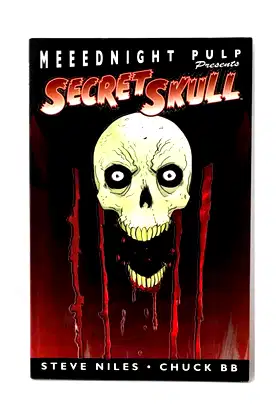 Secret Skull poster