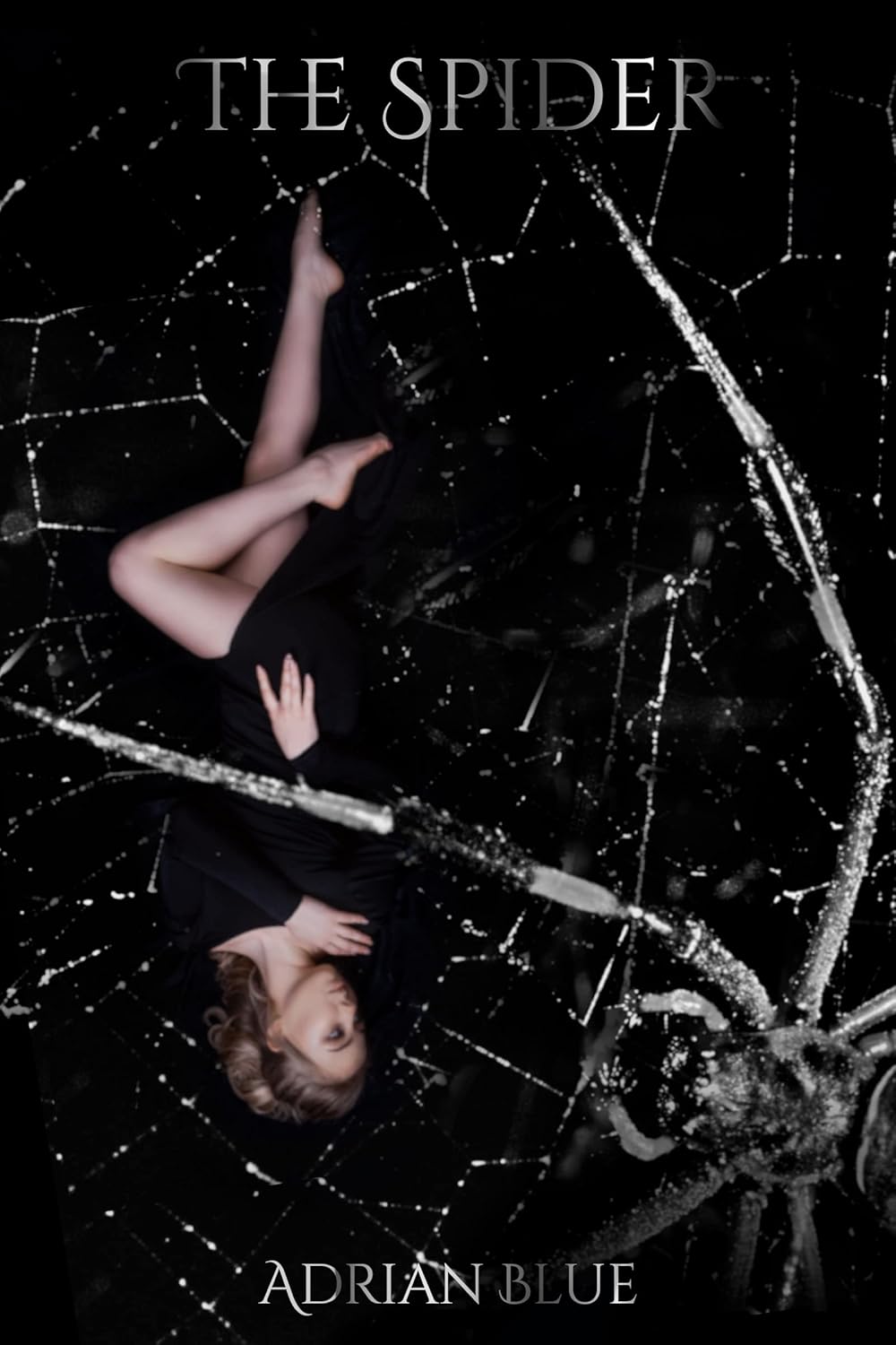 The Spider: A Spider Romance poster