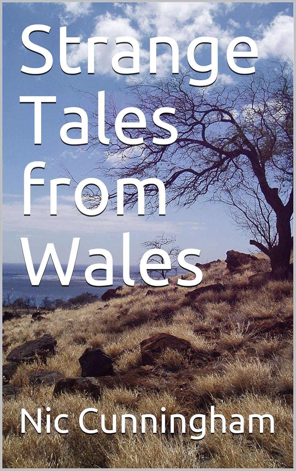 Strange Tales from Wales poster