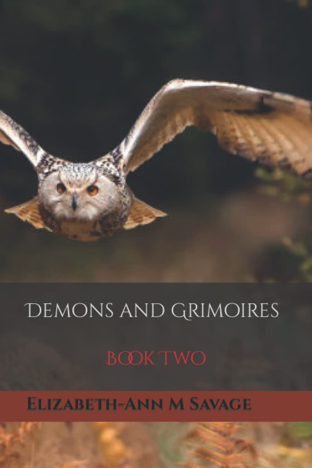 Demons and Grimoires (Jasief Cowel Blood Saga) poster