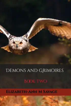 Demons and Grimoires (Jasief Cowel Blood Saga) poster