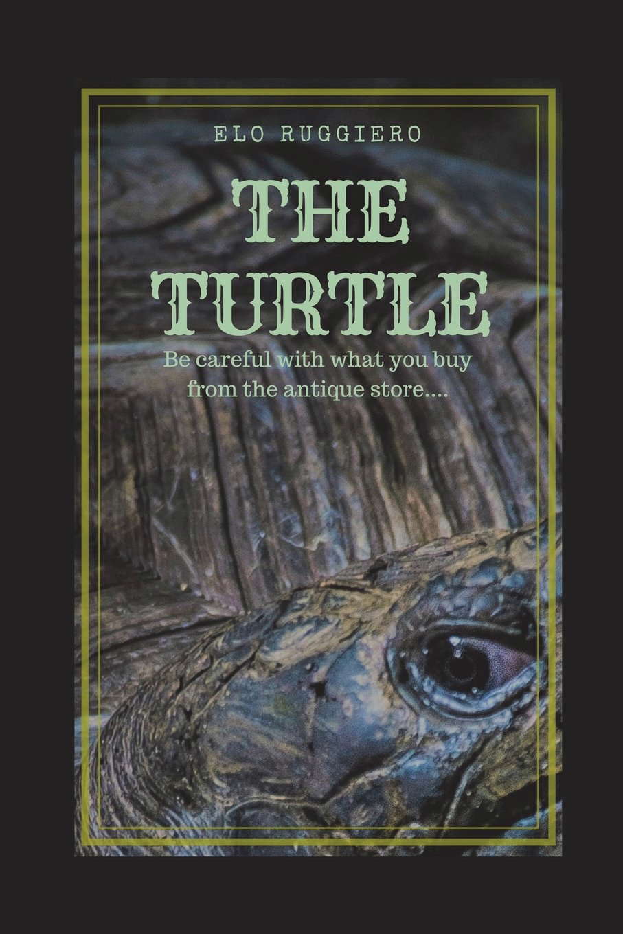 The Turtle: Be carefull with what you buy from the antique store... poster