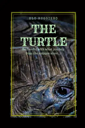 The Turtle: Be carefull with what you buy from the antique store... poster