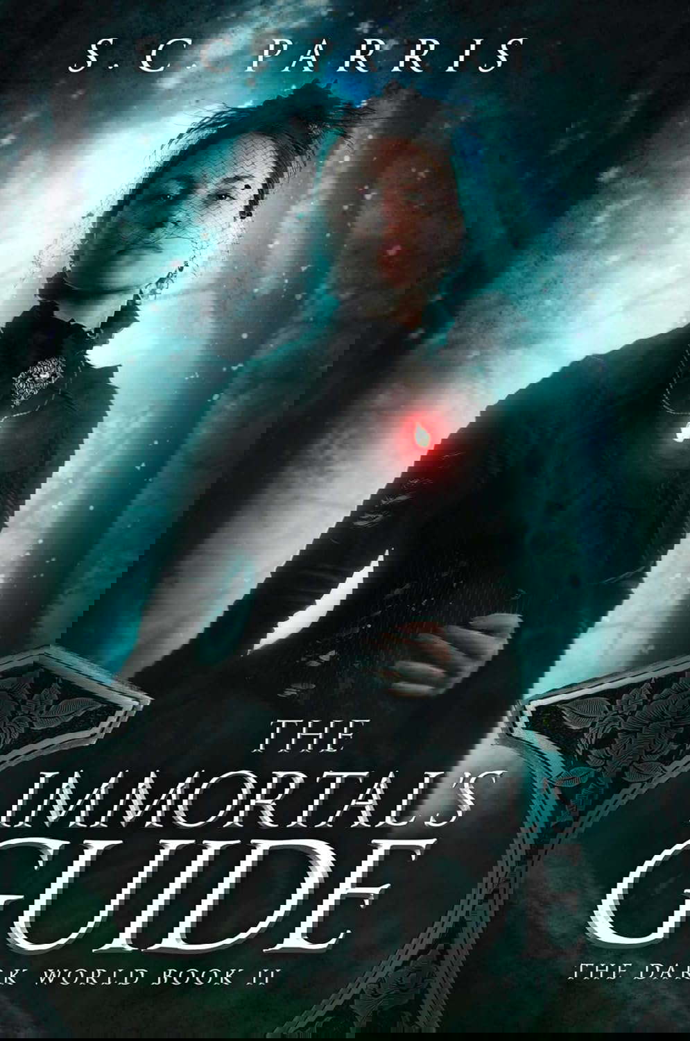 The Immortal's Guide (2) (The Dark World) poster