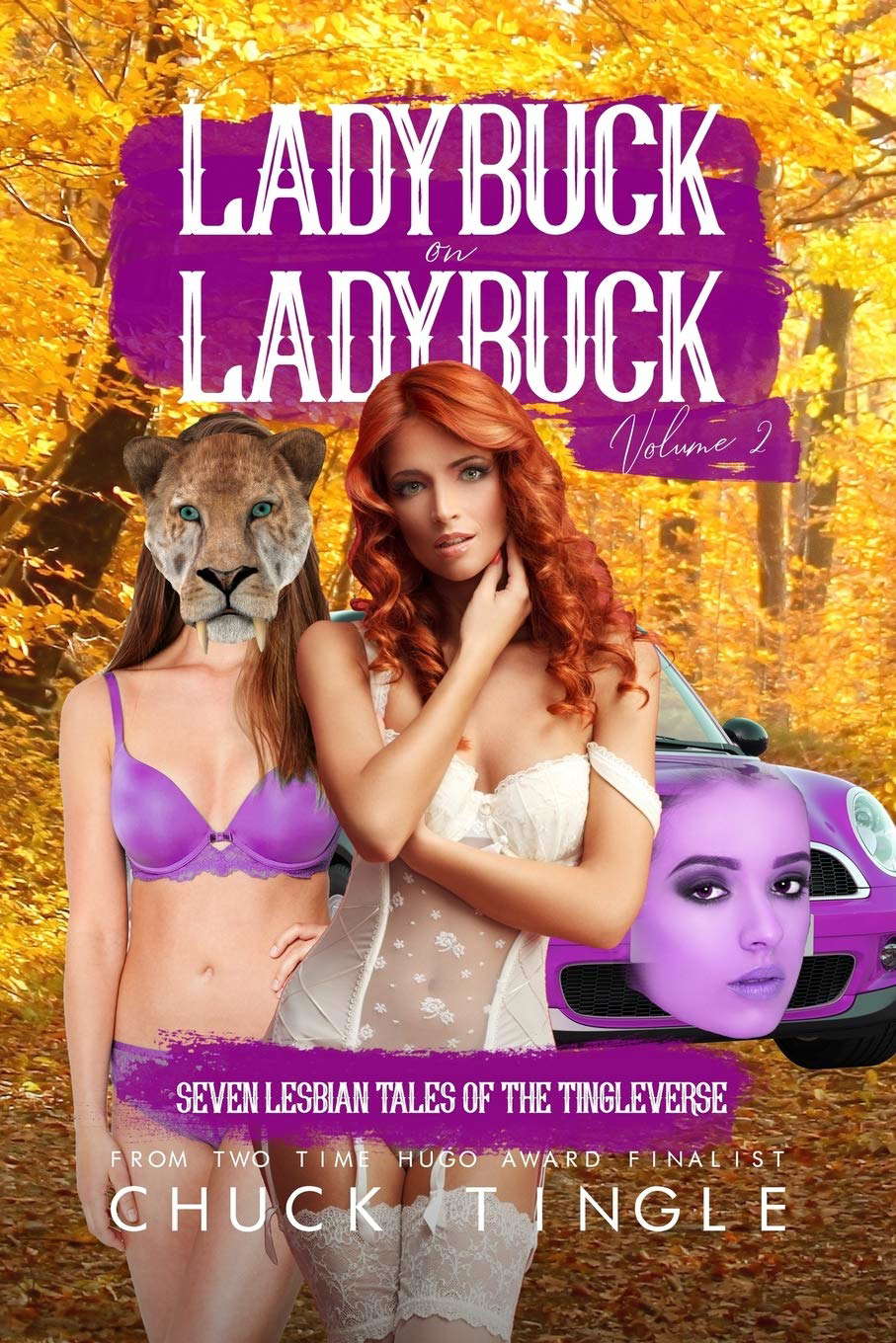 Ladybuck On Ladybuck: Seven Lesbian Tales Of The Tingleverse Volume 2 poster